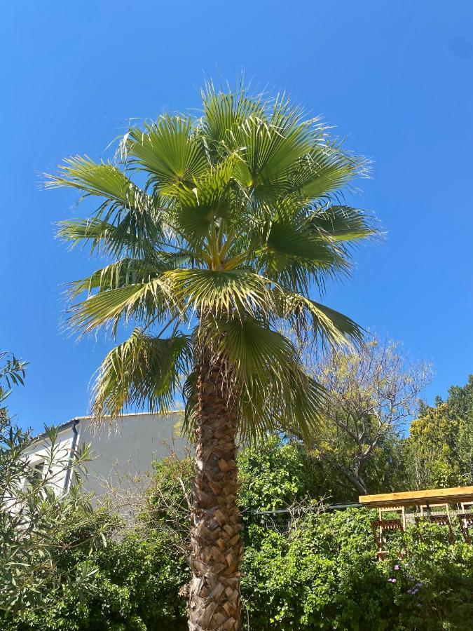 Gite Le Palmier - Perfectly Located Cosy Studio With Private Garden Puissalicon Bagian luar foto