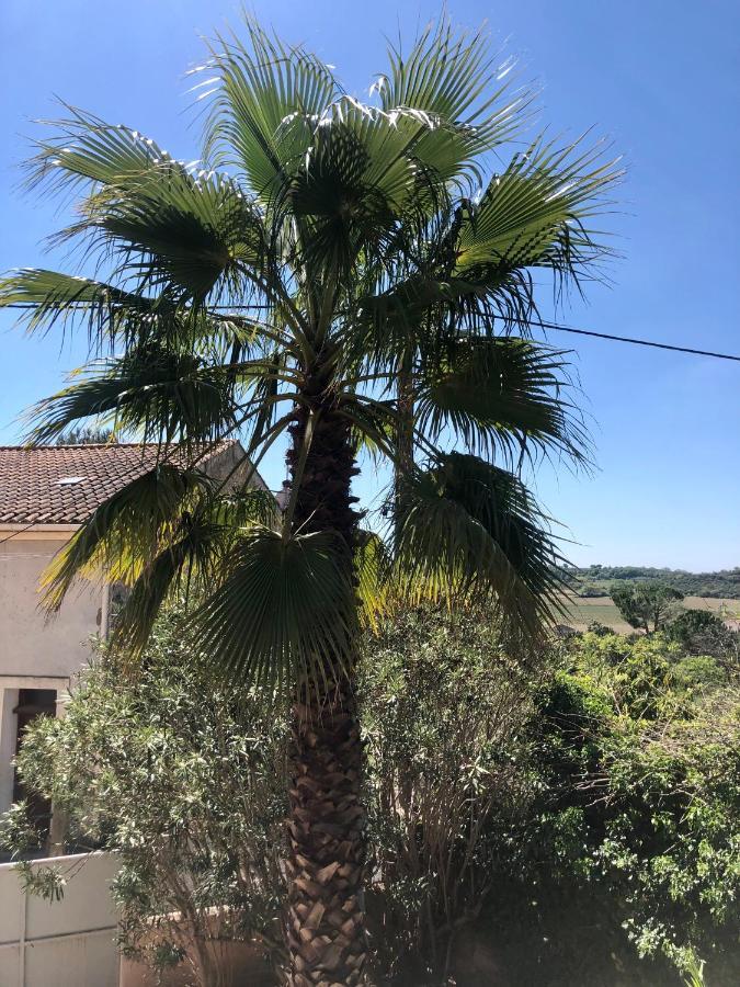Gite Le Palmier - Perfectly Located Cosy Studio With Private Garden Puissalicon Bagian luar foto