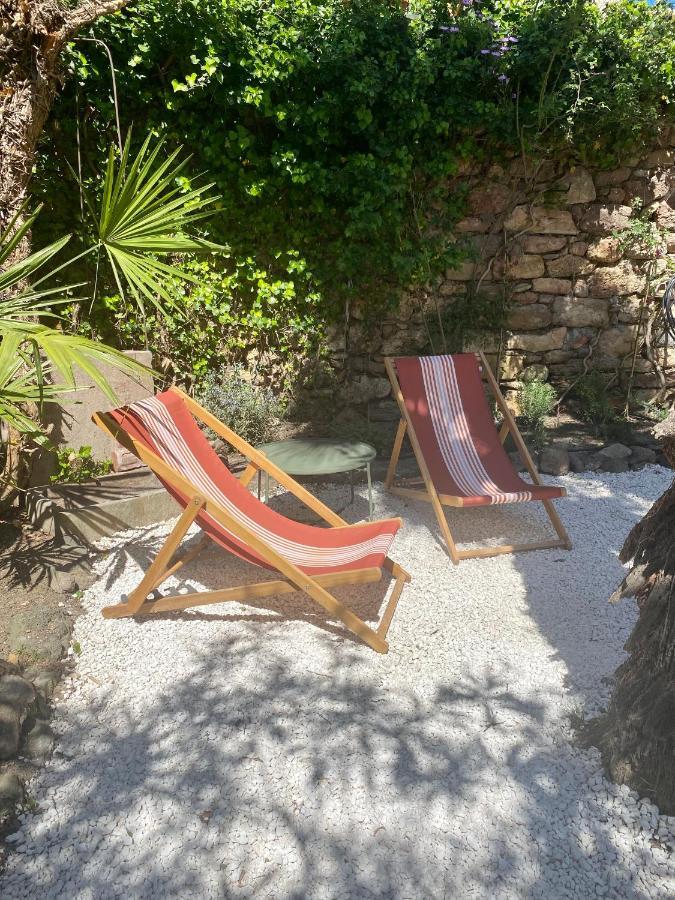 Gite Le Palmier - Perfectly Located Cosy Studio With Private Garden Puissalicon Bagian luar foto